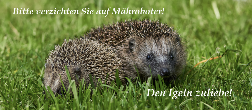 Bildschirmfoto-2025-03-30-um-19.01.17-1-1500x657